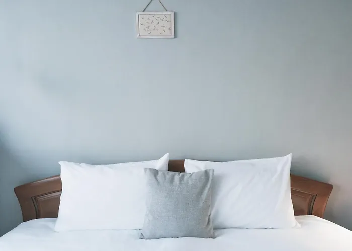 公寓 Cozy Pet Friendly & Free Parking *